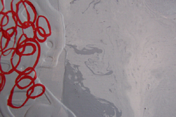 'Intended for a lifetime of shooting' (detail) by Jessica Sims