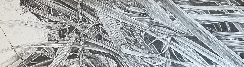 'Invasive 1,' by Janet Scagnelli