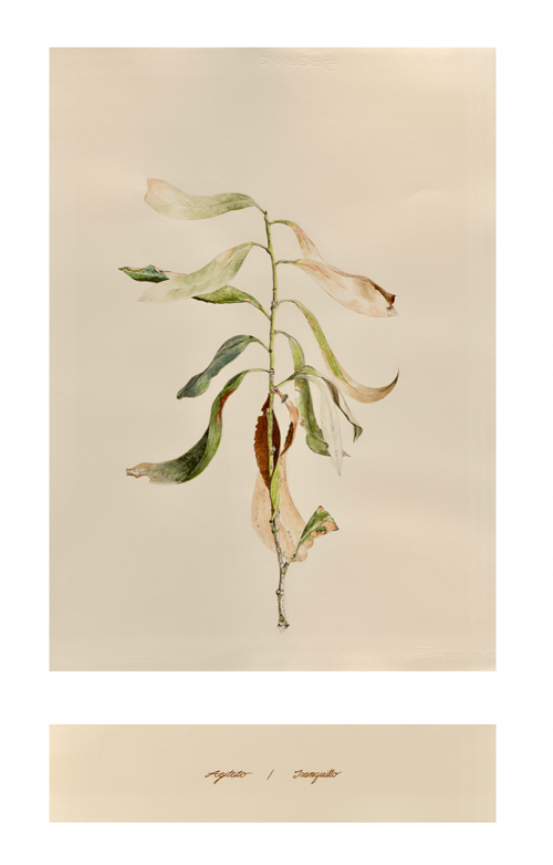 'Untitled' by Janet Scagnelli, 2019, Watercolor, 18 x 22 inches with an accompanying 10 x 22 piece below
