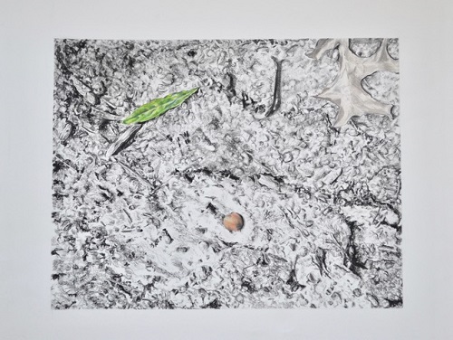'Untitled' by Janet Scagnelli, 2017, Charcoal, colored pencil, and ash from the burning of photos in the images, 18 x 24 inches