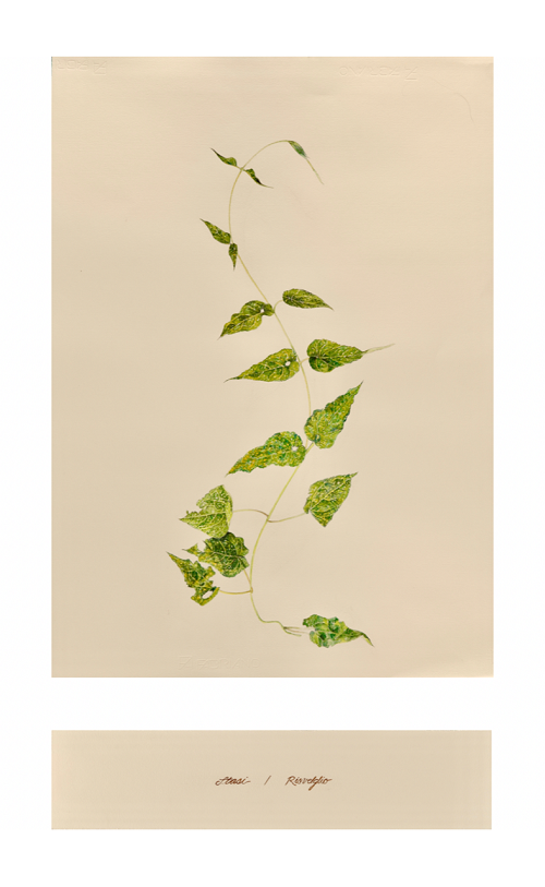 'Untitled' by Janet Scagnelli, 2019, Watercolor, 18 x 22 inches with an accompanying 10 x 22 piece below