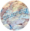 Streaming Auction Logo