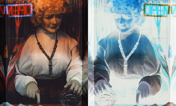 'Reversal of Fortune Series' by Elizabeth Meggs